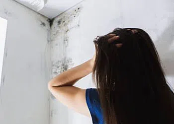 Margate Restoration Company, Margate, FL 954-417-8767