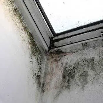 Margate Restoration Company Margate, FL 954-417-8767 Margate Restoration Company Margate, FL 954-417-8767 - serv-img-3