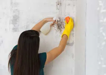 Margate Restoration Company Margate, FL 954-417-8767 Margate Restoration Company Margate, FL 954-417-8767 - water-damage-side