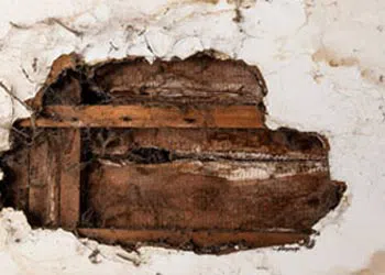 Margate Restoration Company, Margate, FL 954-417-8767