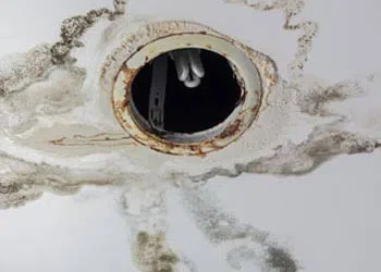 Margate Restoration Company Margate, FL 954-417-8767 Margate Restoration Company Margate, FL 954-417-8767